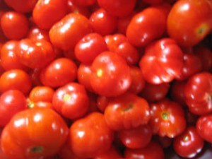 tomatinia santorinis